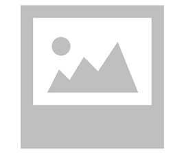 Chicken Mushroom Steak